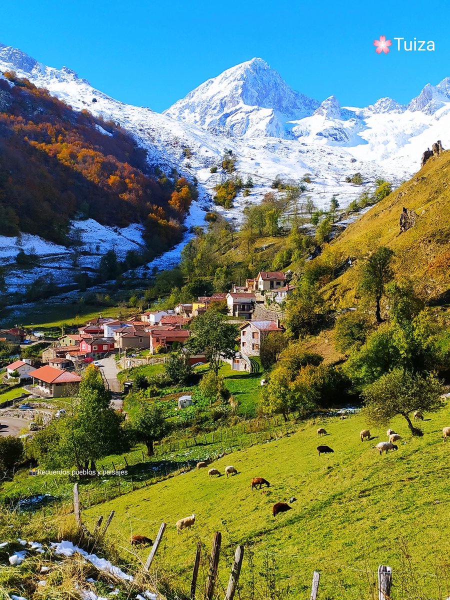 A los pies de Pinubina/Peña Ubiña

 Tiuza Riba, Llena, Asturies

📷: Recuerdos, Pueblos y Paisajes
