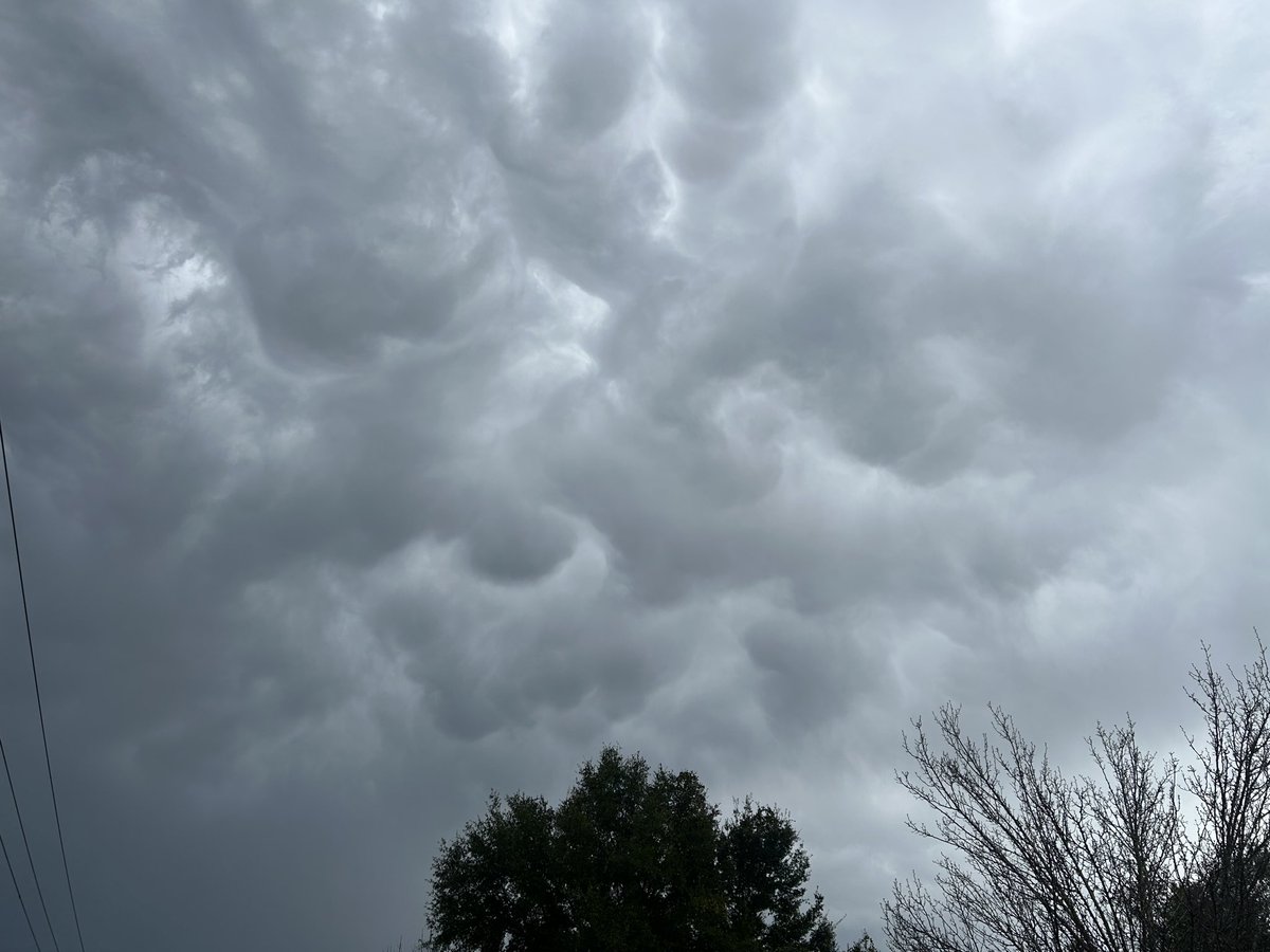 nwfltracking's tweet image. Possible mammatus clouds following the storm in Milton

@rzweather @NWSMobile