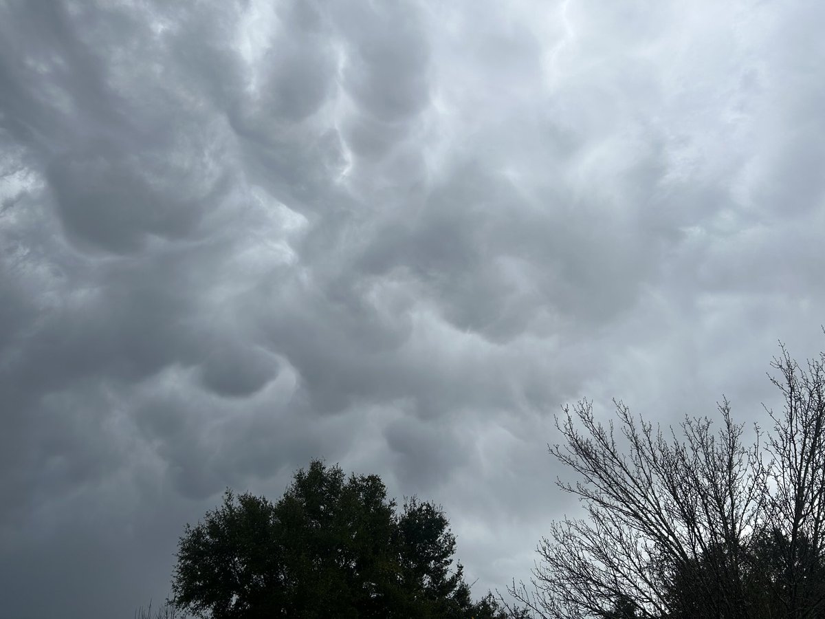 nwfltracking's tweet image. Possible mammatus clouds following the storm in Milton

@rzweather @NWSMobile