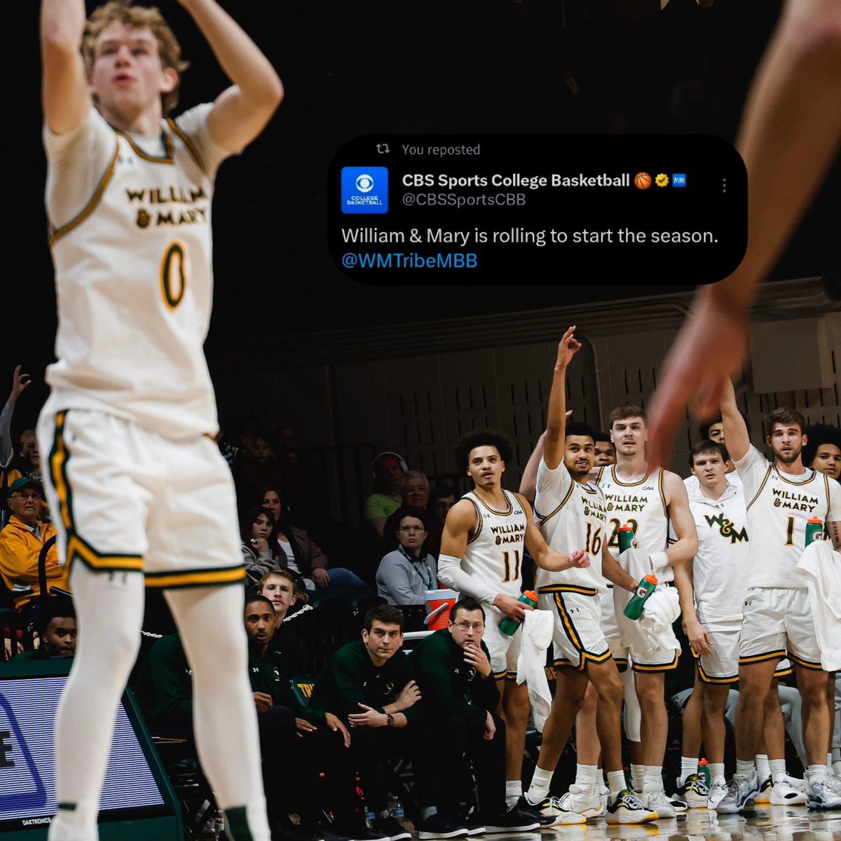 William & Mary Tribe Men's Basketball tweet media