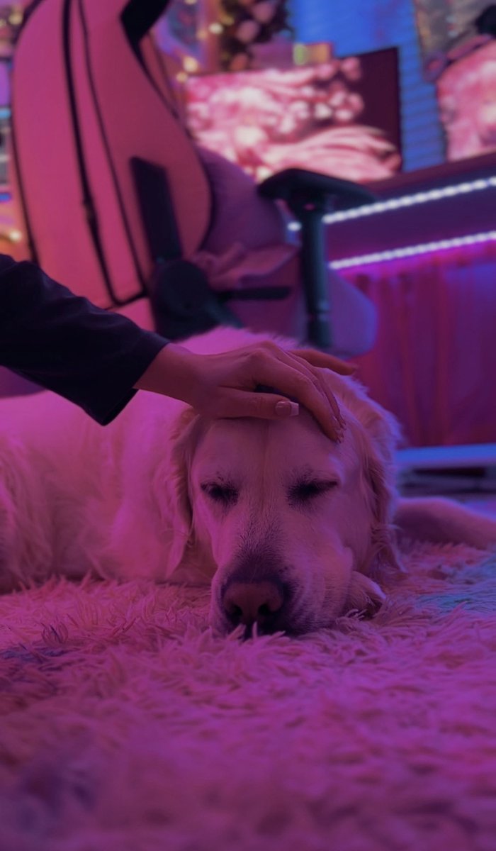 AthenaAryn's tweet image. Just a girl and her boy dog❤️