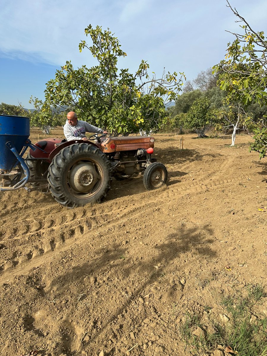 AGROFIG PRIMA tweet media