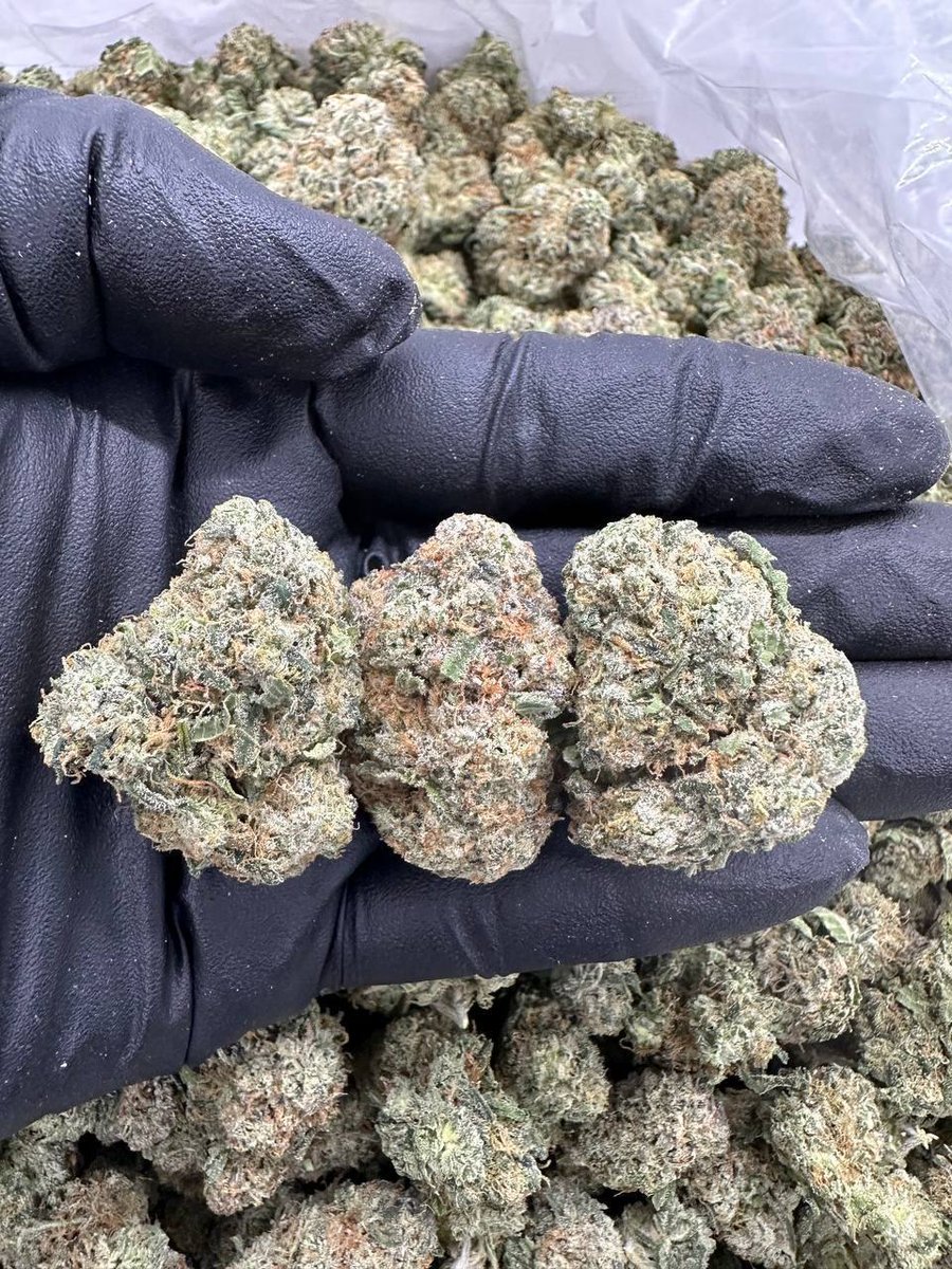 smackinplug's tweet image. LINK IN BIO 📦
Weed Honolulu Weed Hilo Weed Kailua Weed Kaneohe Weed Waipahu Pearl City Mililani Wahiawa Weed Aiea Waimanalo Ewa Beach Kapolei Weed Lihue Kahului Kihei Lahaina Weed Wailuku Makawao Paia Haiku Weed Kailua-Kona Honalo Captain Cook Waimea Weed Hanalei Princeville