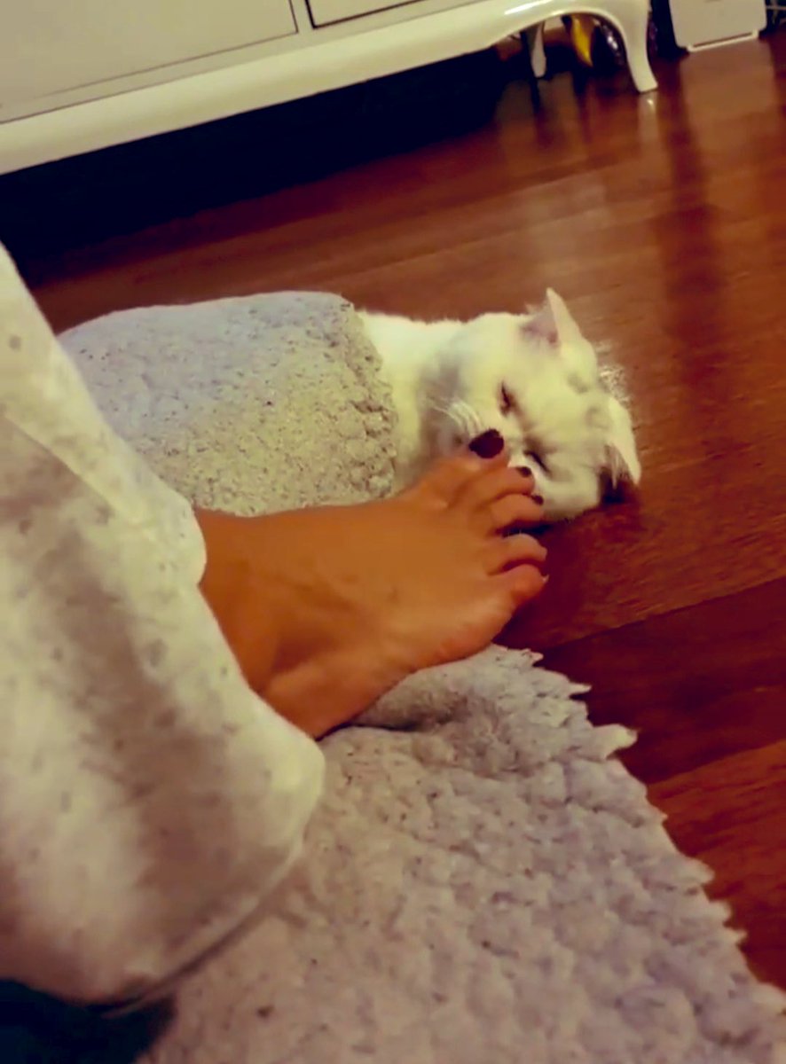 💃 Seray Sever
👠 38 Numara
⭐️ 8.1 / 10

✅ Bordo oje seçimi iddialı.
✅ 38 numaranın uzun ve zarif yapısı estetik duruyor.
❌ Battaniyenin arasında ayağın bir kısmı kapalı kalmış net seçilemiyor.