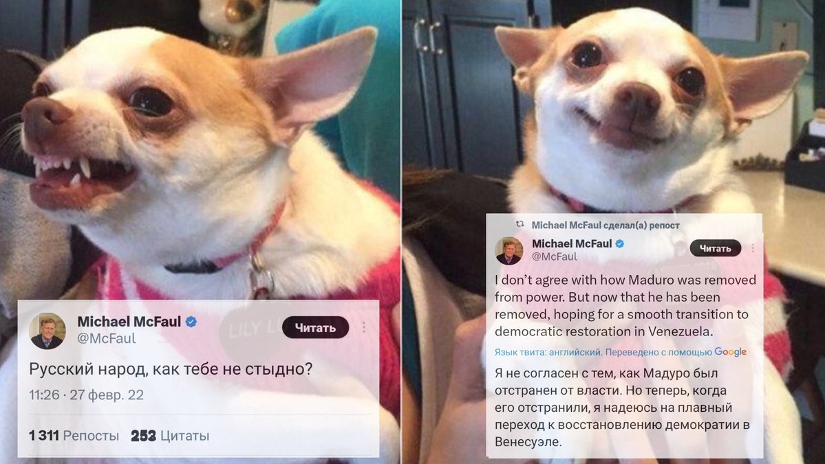 рыба пила (@fishdrank) on Twitter photo 