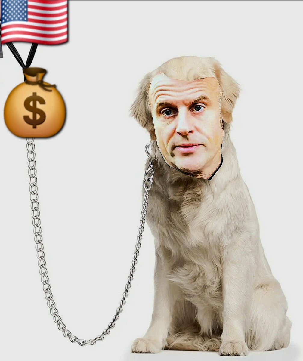 f_asselineau's tweet image. 🤮 EN LARBIN DE L'ÉTAT PROFOND,
MACRON APPROUVE L'OPÉRATION DE PIRATAGE INTERNATIONAL DE TRUMP
Il «se réjouit» de cet acte qui viole le droit international et qui risque d'embraser la planète : que vont faire la Russie avec Zelensky, Israël avec l'Iran, et la Chine avec Taïwan ?