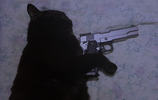 hakaelll's tweet image. 