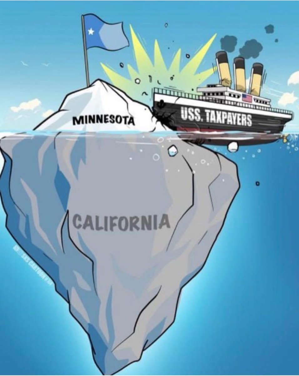 T Wolf 🌁 tweet media