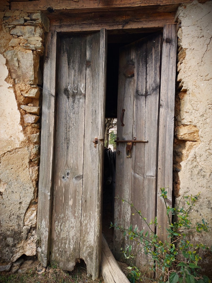 Nature Lover tweet media