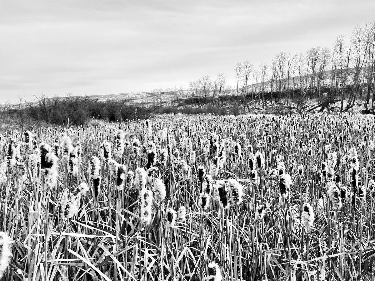 bscomet22's tweet image. 📷