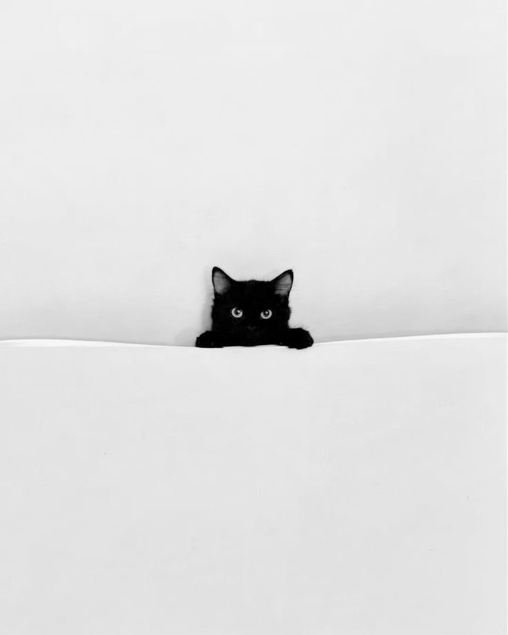 nunuchoizzang's tweet image. 도경수..엑소디오