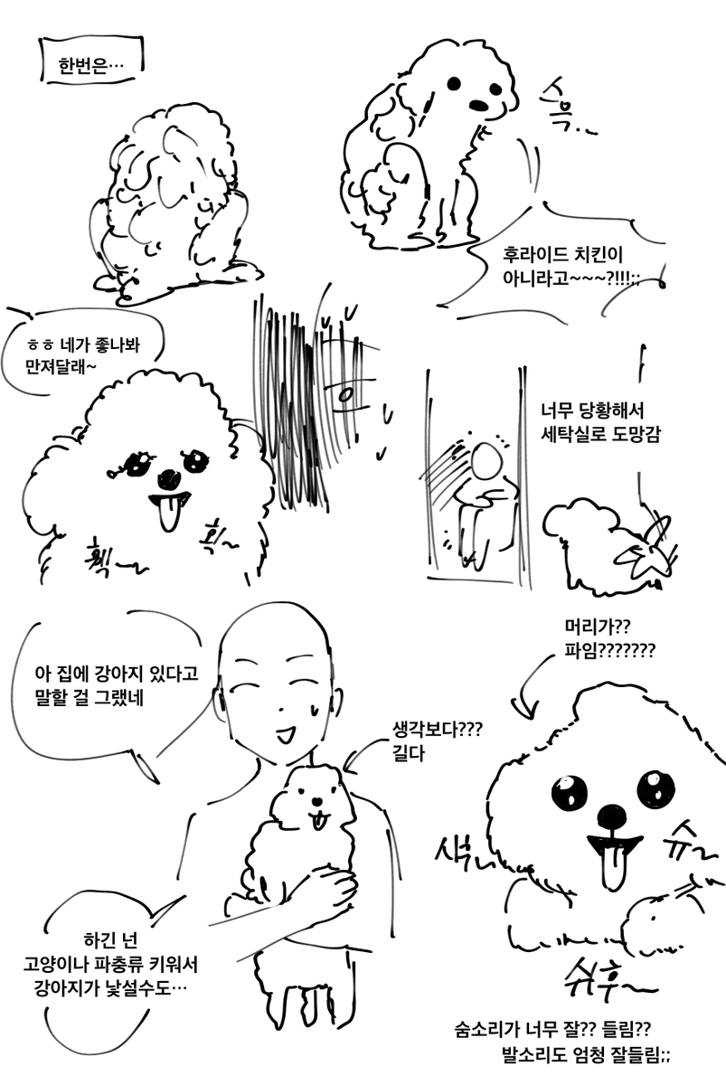 소형견이 미지의 생물로 느껴지는 만화