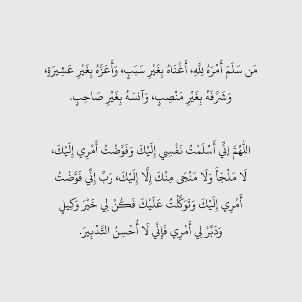 m_alguthami's tweet photo. 🤍 https://t.co/p1nTuszXWk