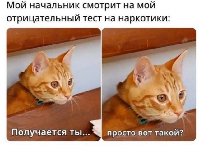 Number One (@numberoneu) on Twitter photo 