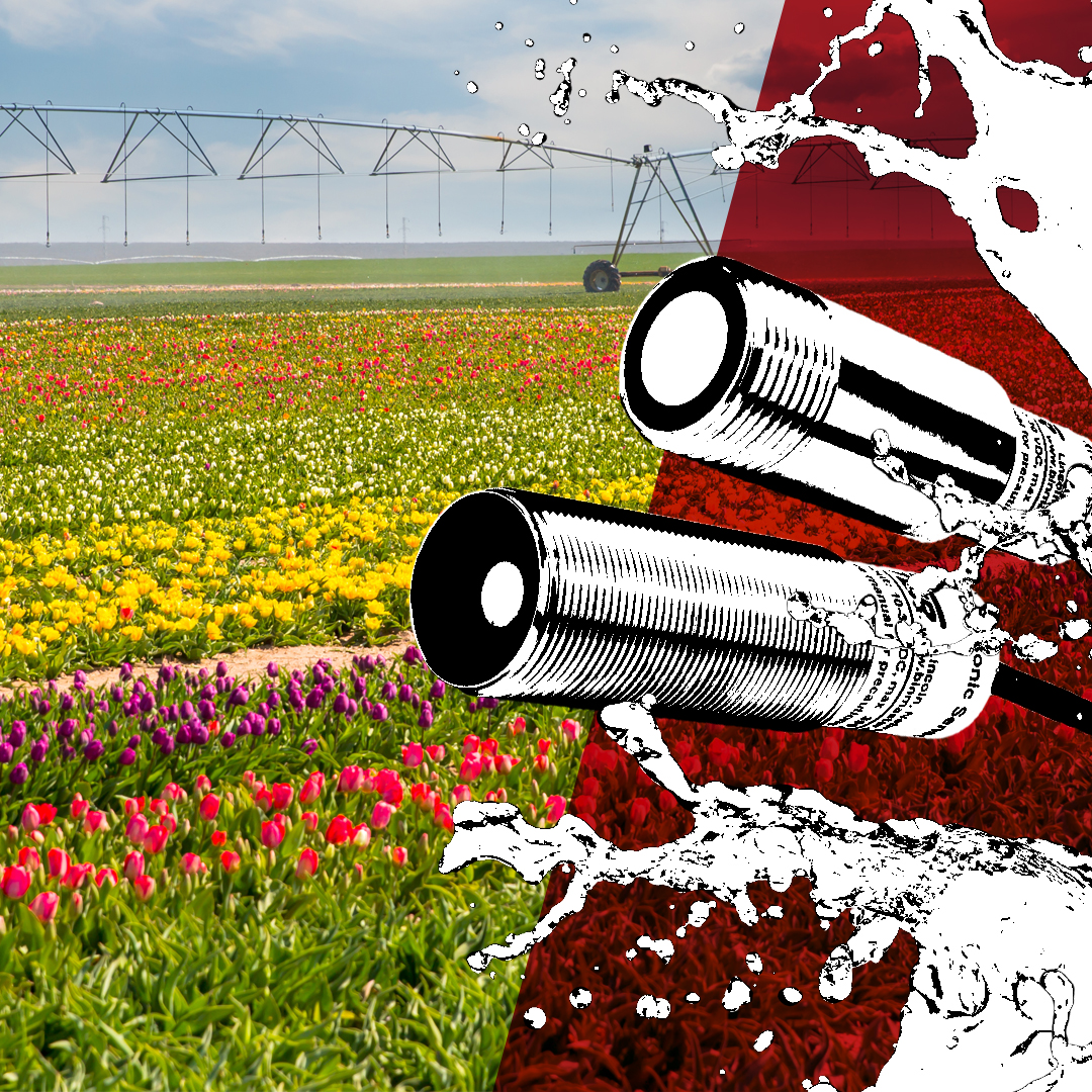 binmasterusa's tweet photo. Is it ever too early to start planning for the next harvest? ToughSonic® ultrasonic sensors provide liquid-level measurements for irrigation, chemical spraying, and livestock pits or reservoirs at risk of overflow. https://t.co/w4DoXawtuS 🚜 #LiquidLevel #AgricultureSensors https://t.co/ki3GPl9RYi