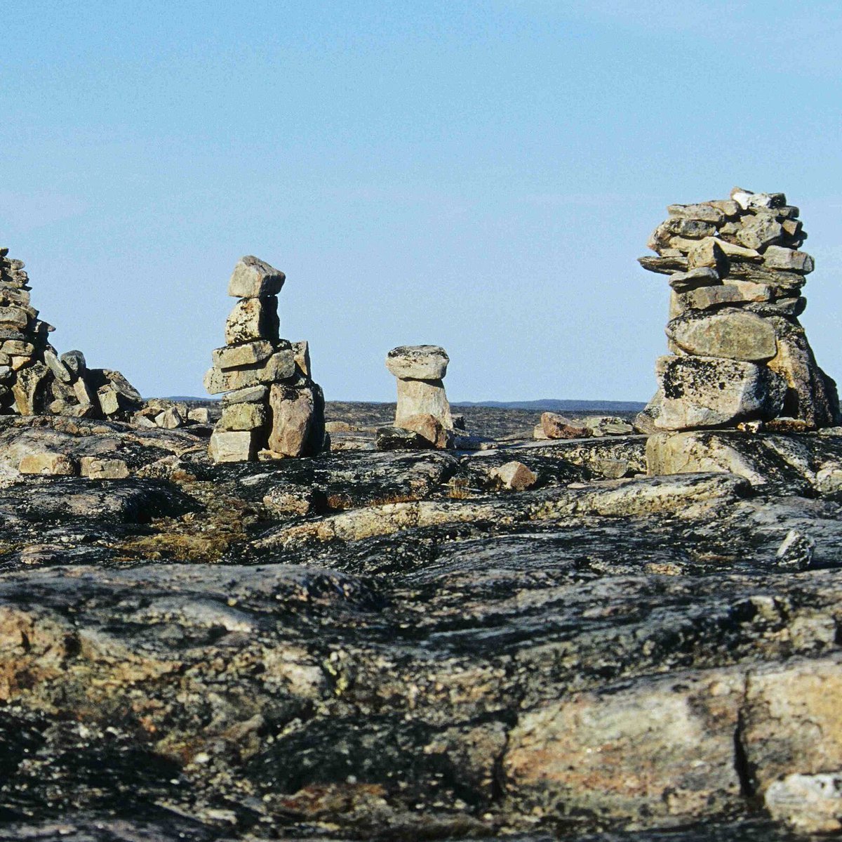 Craig Baird - Canadian History Ehx tweet media