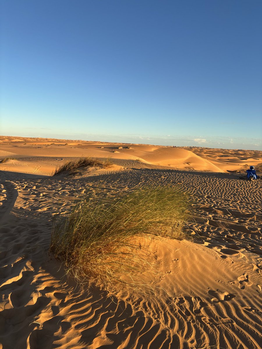 𝓟𝓻𝓲𝓷𝓬𝓮𝓼𝓼𝓓 tweet media