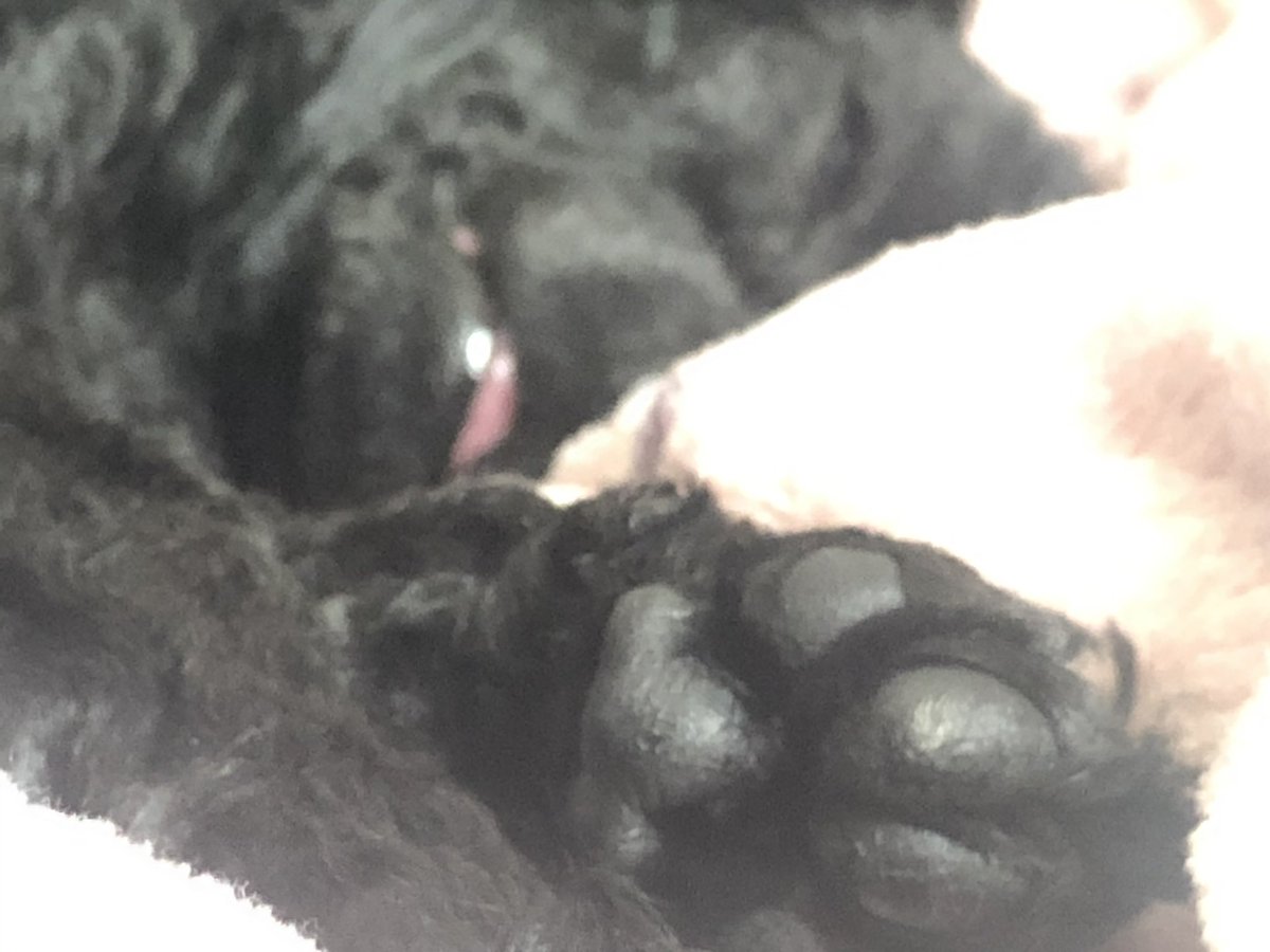 시나브 tweet media