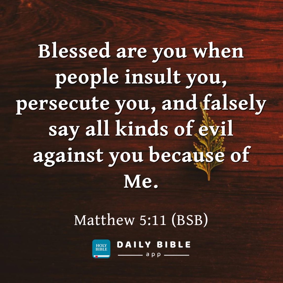 NowDailyBible's tweet photo. Blessed are you when people insult you, persecute you, and falsely say all kinds of evil against you because of Me.

Matthew 5:11 (BSB)

Get the app: https://t.co/BO0Fw3YIB7 https://t.co/g5kgsO2euD