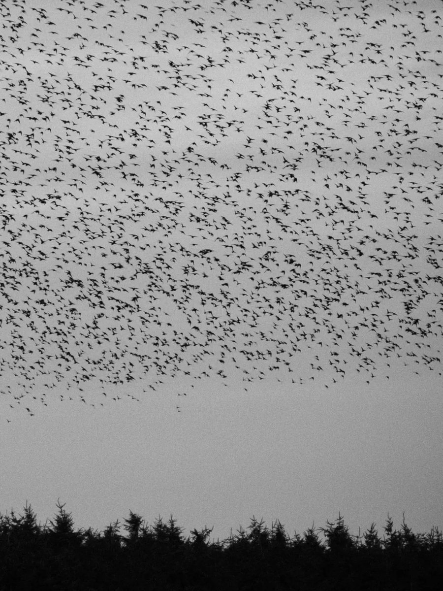 Bubi' Sanat (@bubisanatcom) on Twitter photo 