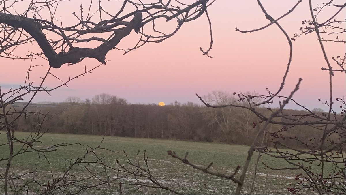 PG Devlim | Sisters of Annis tweet media