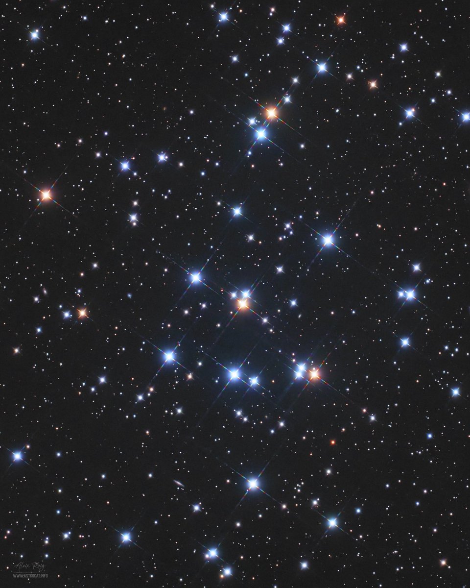 astrocatinfo's tweet image. 𝗠𝟰𝟰, 𝘁𝗵𝗲 𝗕𝗲𝗲𝗵𝗶𝘃𝗲 𝗖𝗹𝘂𝘀𝘁𝗲𝗿 ✨ 

📷 From my backyard observatory 📍Prades