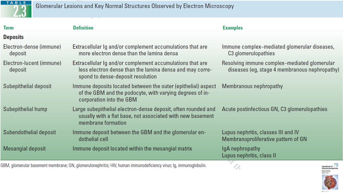 Kidney Biopsy 🔬 101 from <a href="/ChangUCanSpare/">Anthony Chang, MD (張賀文)</a> 
#Nephpearls

👉 shop.lww.com/Handbook-of-Gl…