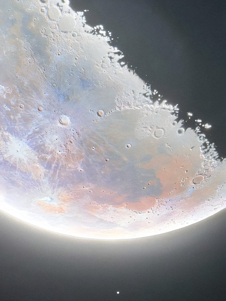 gardenofcolours's tweet image. 