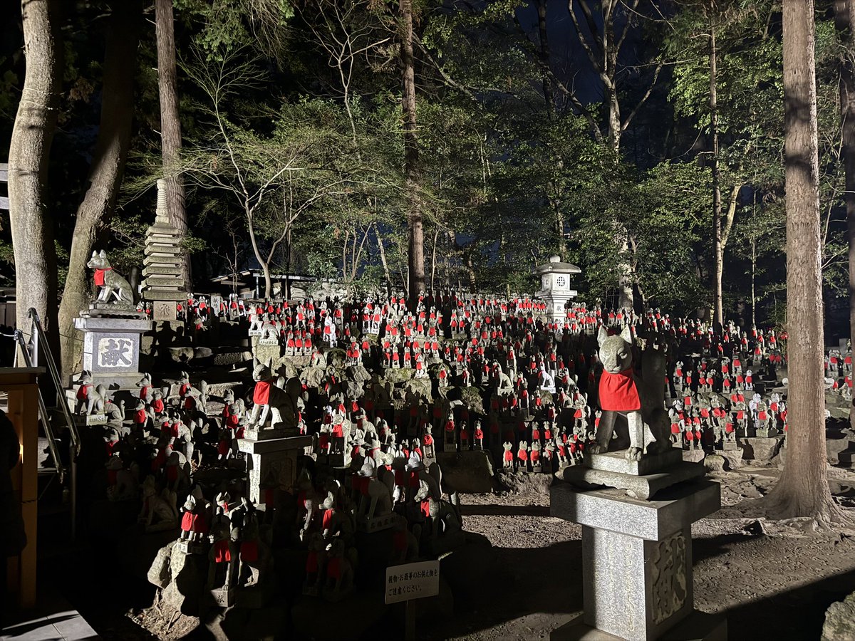 赤猫 杏 (@akanekoanzu) / Posts / X