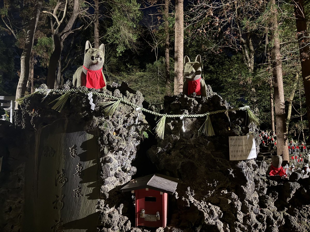 赤猫 杏 (@akanekoanzu) / Posts / X