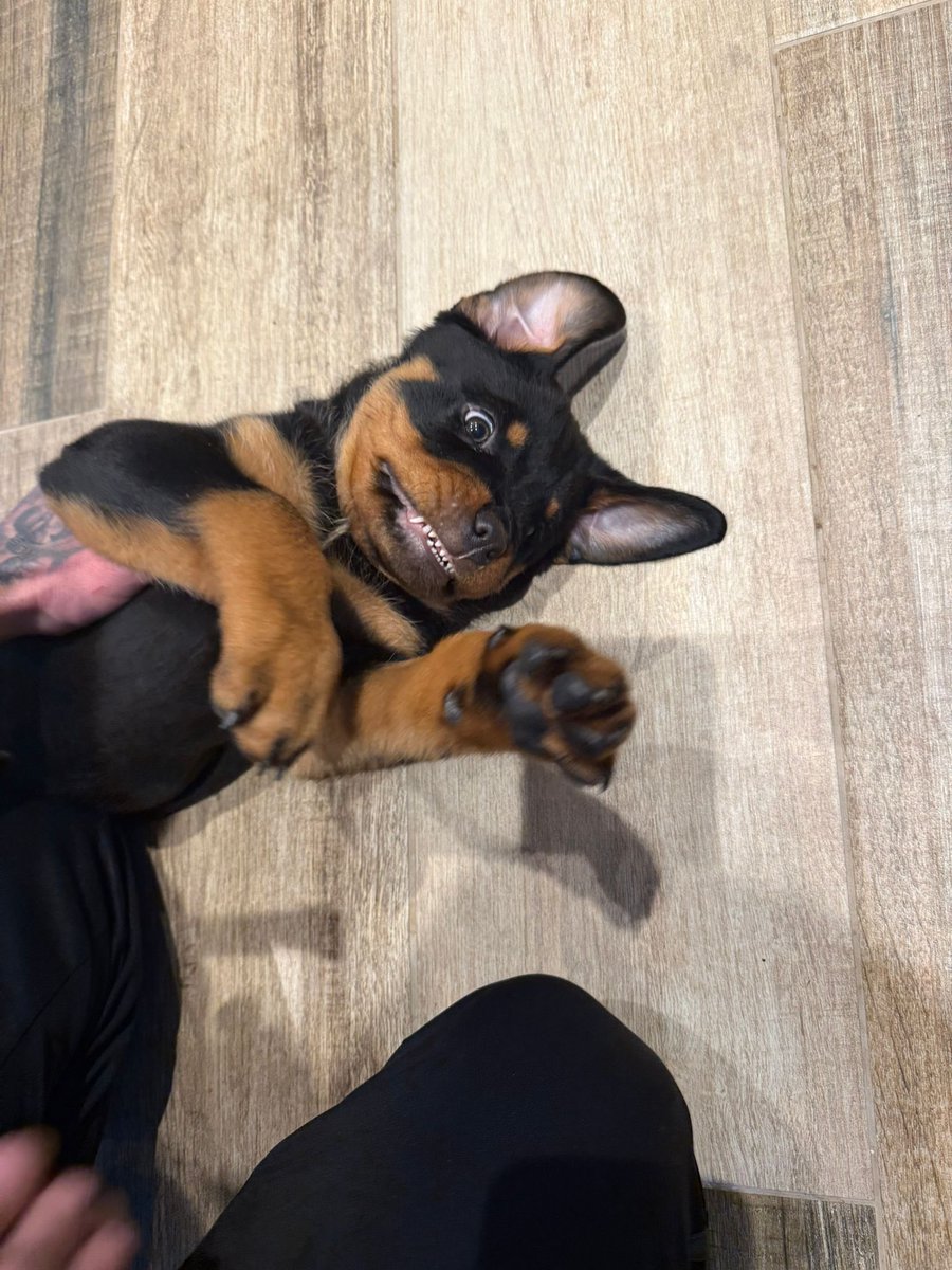 Told Gatti it’s his round 🍺 😂