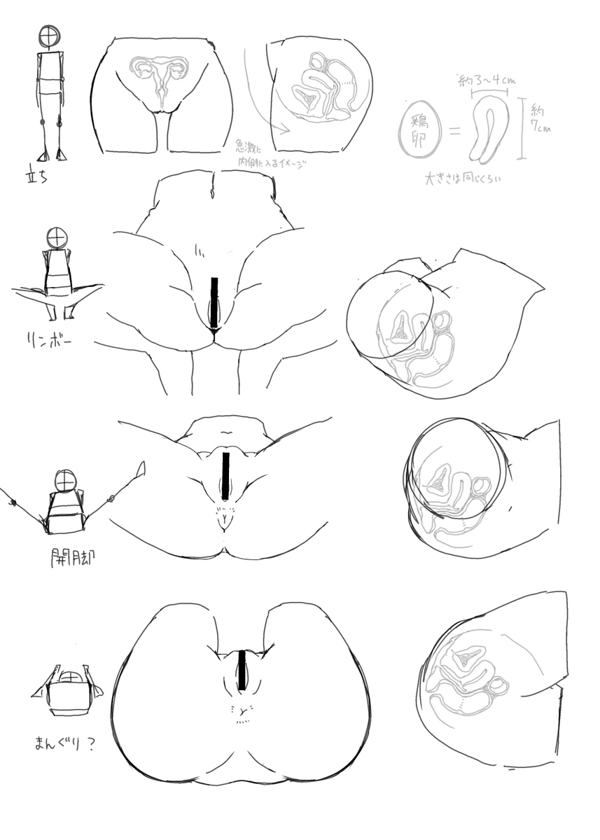 昔描いた尻とか恥丘とかポーズとかについて考えてたデータ出てきた。 