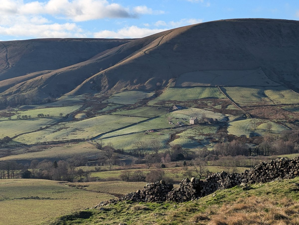 Carl 📷 tweet media