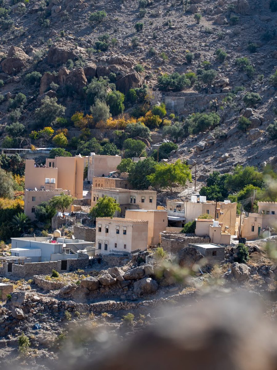 ExperienceOman's tweet image. #Hadash_Village is located in #Wadi_Mistal, in #Nakhal, where stunning mountain nature meets traditional farming and the authentic details of rural life ✨🏘️

Insta: 📸 Mohammed Alajmi

#ExperienceOurwinter 

#Oman
#OmanByYou
#ExperienceOman
#BeautyHasAnAddress