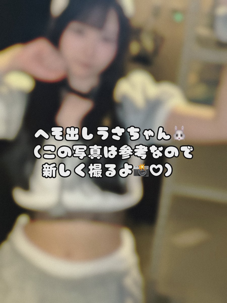 らららのしらら ZX-12R(02~06)用ラジエターコアガード