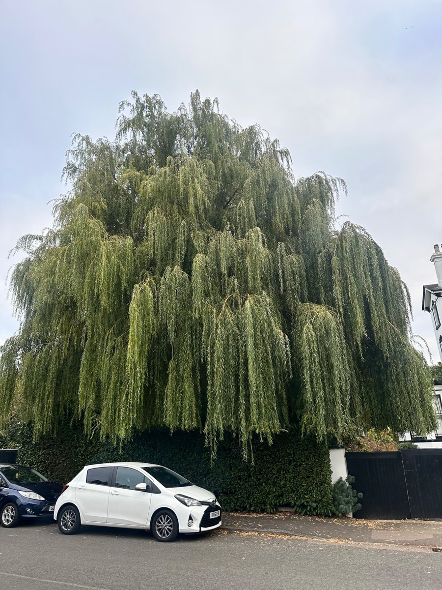 Eby Sunshine 🌻: God Funded 😍 tweet media