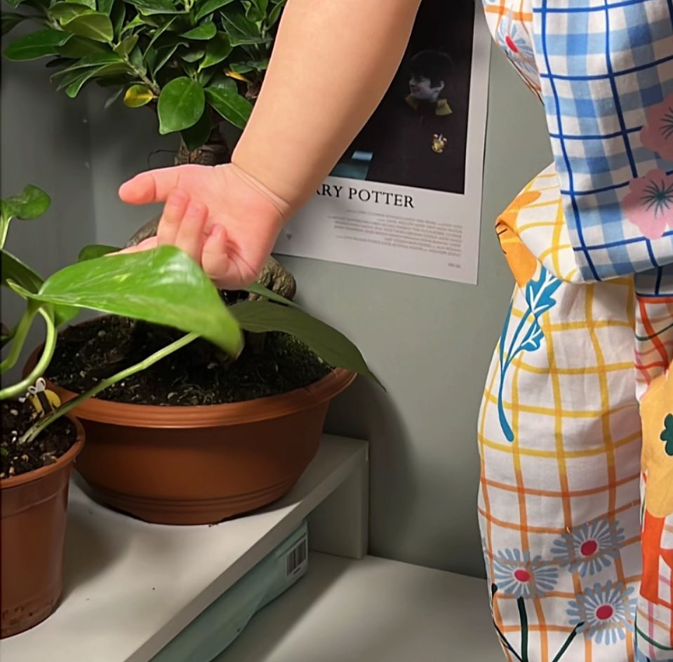 نجمه tweet media