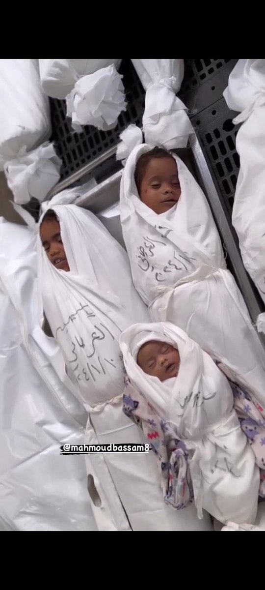 Bir gündem size işgalci israil'in ABD desteğiyle Gazze'de yaptığı soykırımı unutturmasın!..

#Venezuela #venezuelalibre