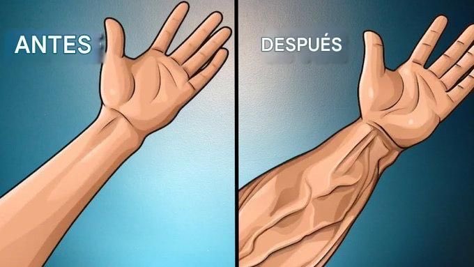 MindsetGox's tweet image. 4 EJERCICIOS para AUMENTAR el tamaño y la FUERZA del antebrazo:

- 🧵 -