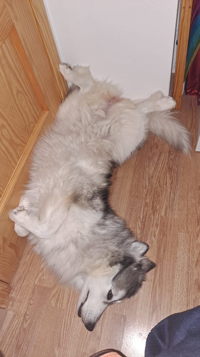 Ineliababs's tweet image. Siesta de nivel Dios con mi marido🙌