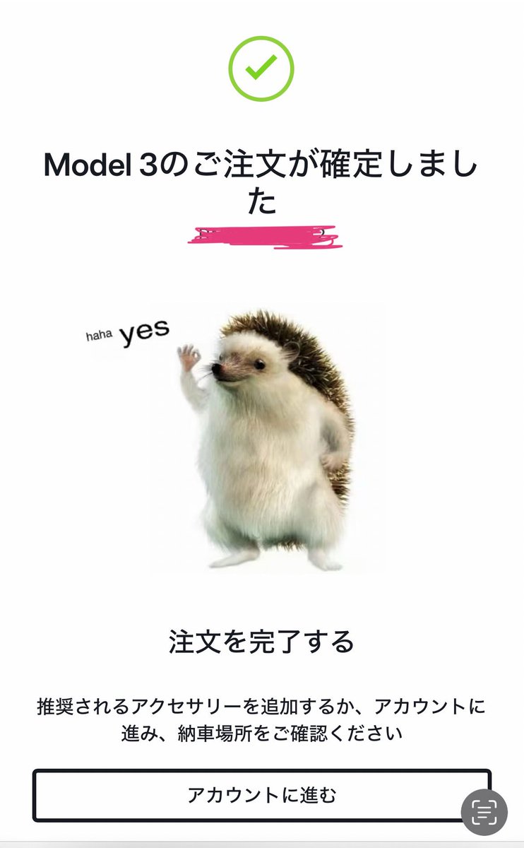 tesla_ms001's tweet photo. 2026/1/1思い切ってお正月🎍に
テスラモデル3を注文しました🌅

先輩テスラ乗りさんやこれからテスラを
検討してる人と繋がりたい！

#Tesla
#テスラ https://t.co/U1cAcY667e