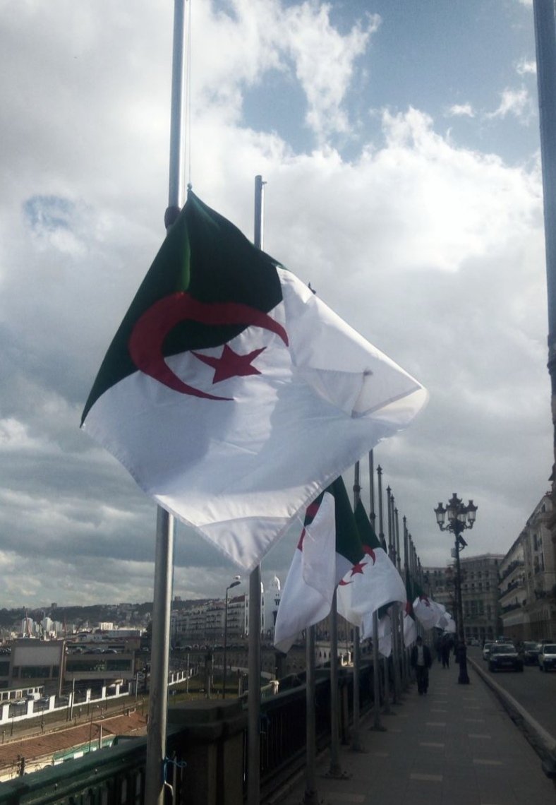 Opti4445's tweet image. تبون يأمر بتنكيس العلم الجزائري حزنا على القبض على صديقه الوفي تاجر المخدرات مادورو......