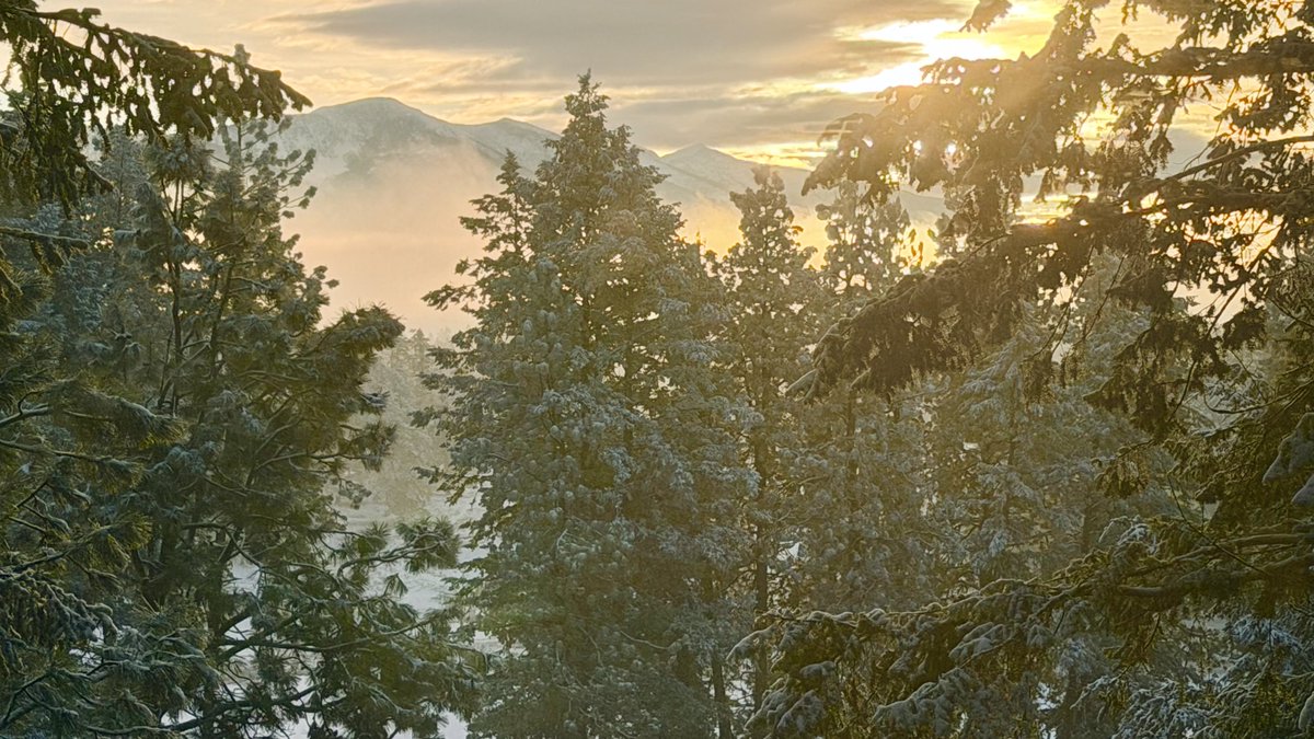 CPWSG's tweet image. I know 2026 is going to be pretty insane but starting the new year off this way with a mug of coffee and a fire going is a GREAT way to begin it