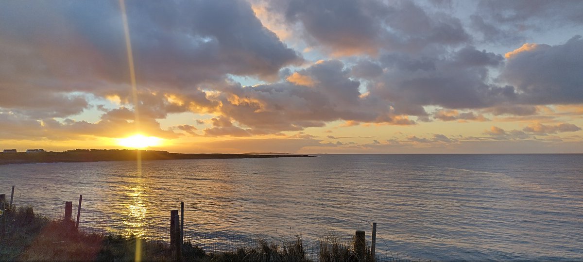 Bantry Yarns tweet media