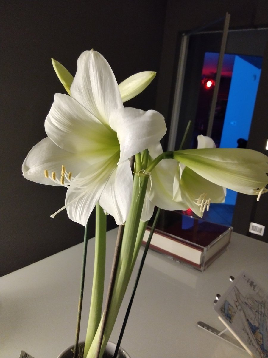 .

un sabato di pioggia e gioie semplici 

.