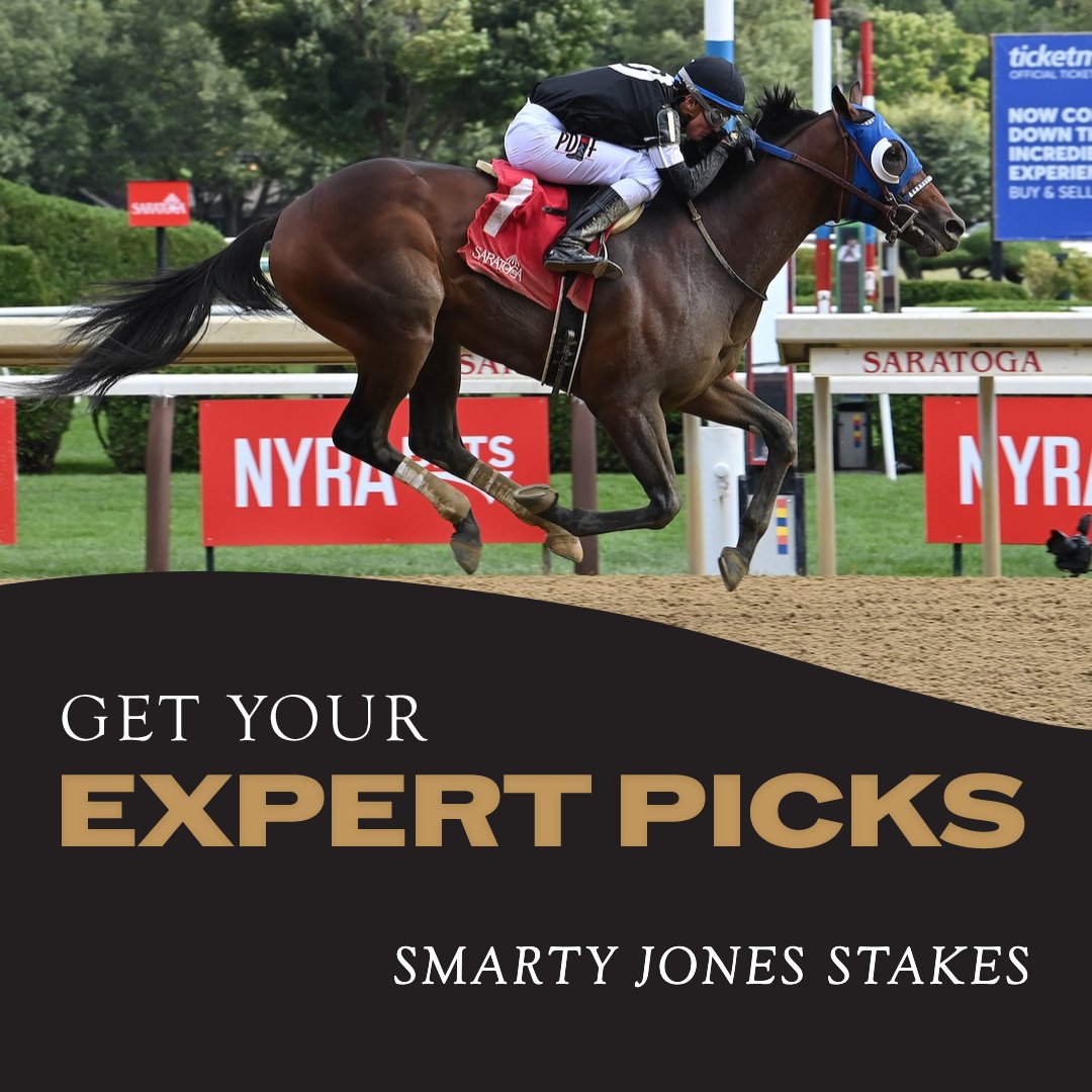 ダービースタリオン for win DERBY STARION Star Tron Stabilizer+ Fuel Storage & Corrosion Protection – Star