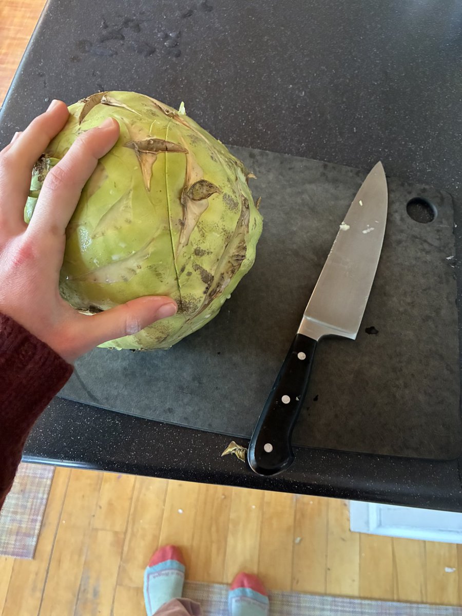 it's always a struggle to figure out how to break into the kohlrabi without chopping my fucking hand off