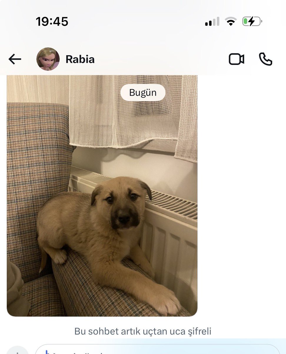 köpeğin garibanlığına öleceğim 
ne olur yuva 
iletişim: <a href="/rabiakalelii/">Rabia</a>