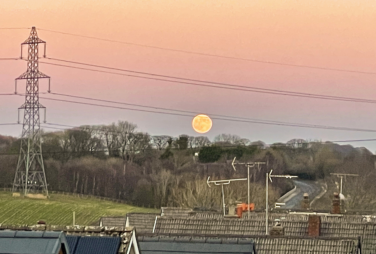 Nowt but a Lad tweet media