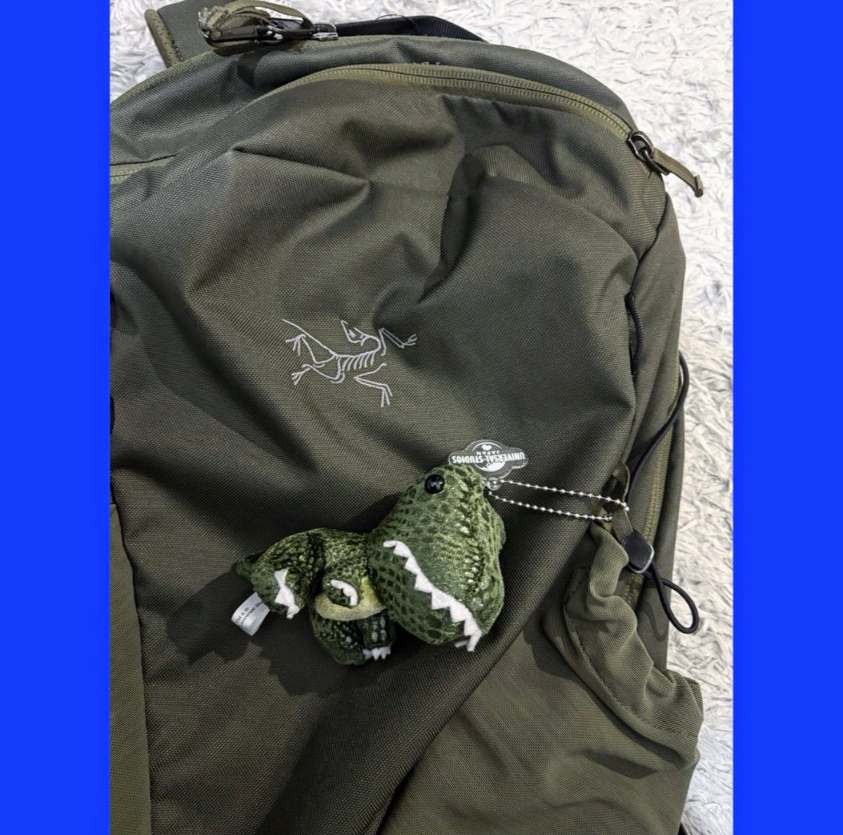 Protocol2018's tweet image. 🅿️

@arcteryx 

@jurassicworld